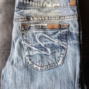 Silver Jeans 27 x 35"